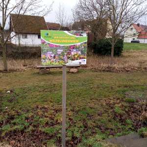 Informationstafel zur Entstehung einer Blumenwiese